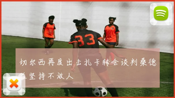 切尔西再度出击扎卡转会谈判桑德兰坚持不放人