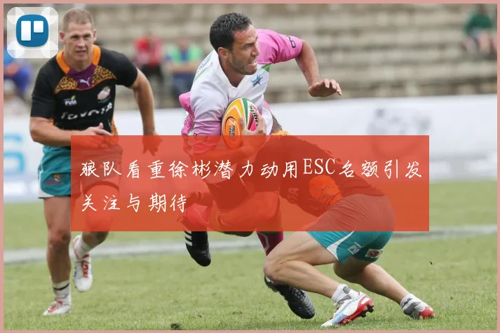 狼队看重徐彬潜力动用ESC名额引发关注与期待