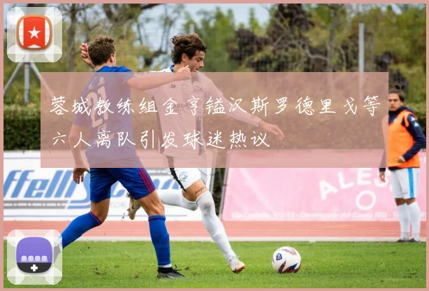 蓉城教练组金亨镒汉斯罗德里戈等六人离队引发球迷热议